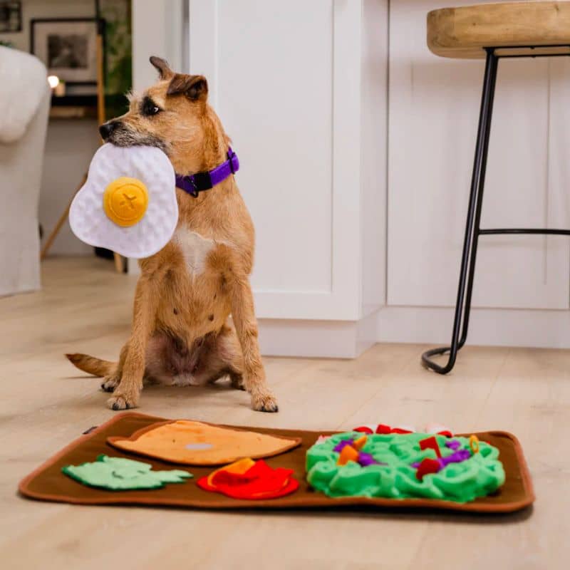 tapis de fouille et d'occupation en forme de brunch de la marque PLAY idéal pour occuper et stimuler le chien grâce à la recherche de friandises faisant travailler son flair - Play snuffle mat Savory sunrise