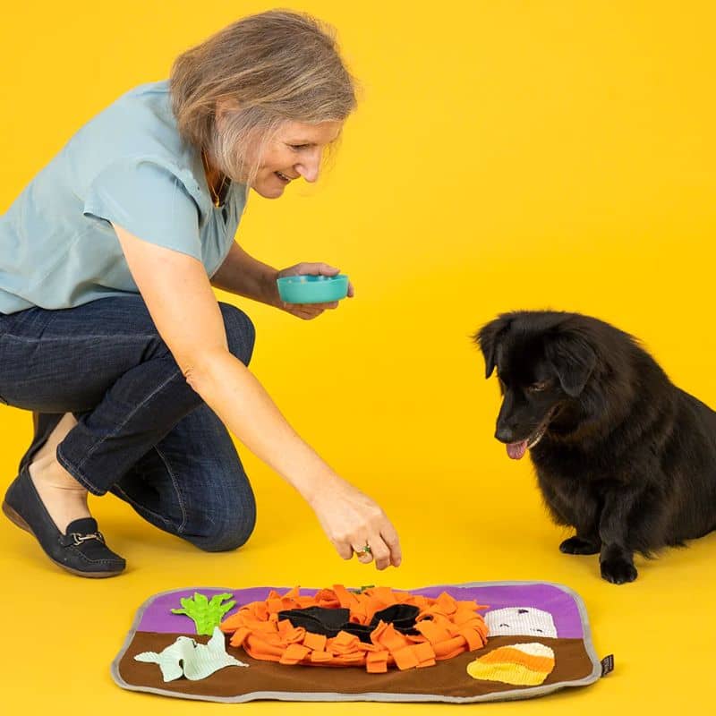 tapis de fouille et d'occupation en forme de citrouille et fantome halloween de la marque PLAY idéal pour occuper et stimuler le chien grâce à la recherche de friandises faisant travailler son flair