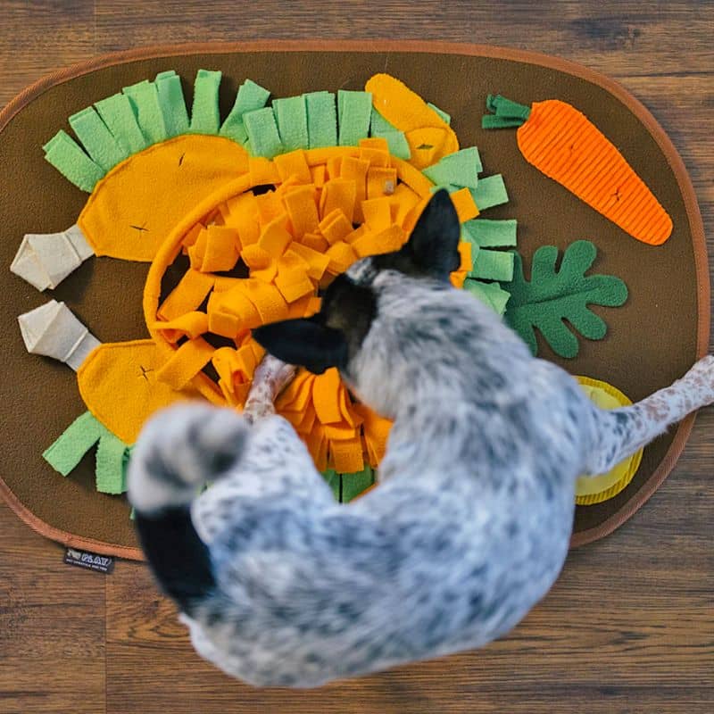 tapis de fouille et d'occupation en forme de dinde de la marque PLAY idéal pour occuper et stimuler le chien grâce à la recherche de friandises faisant travailler son flair