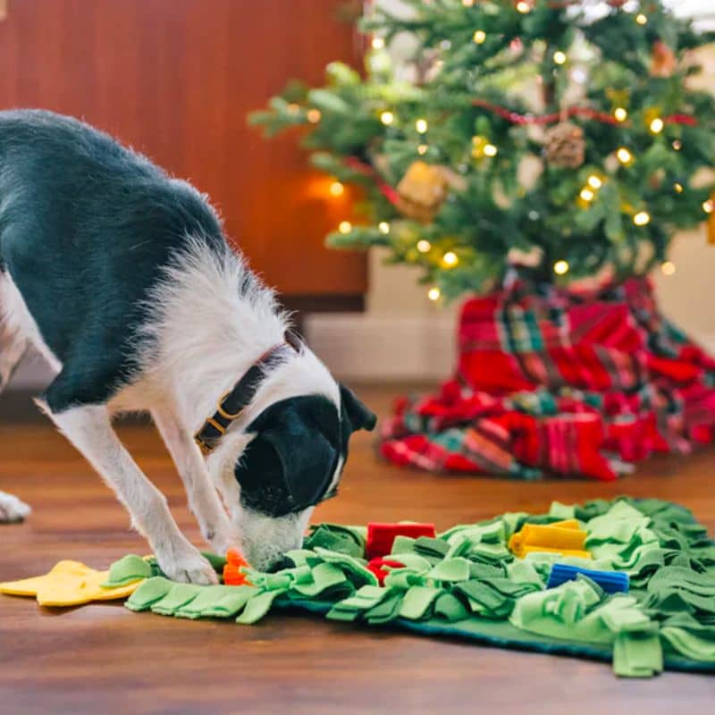 tapis de fouille et d'occupation en forme de sapin de noel de la marque PLAY idéal pour occuper et stimuler le chien grâce à la recherche de friandises faisant travailler son flair