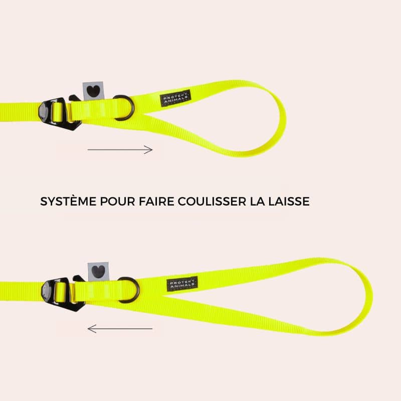 Poignée de la longe pour chien longueur 5 mètres en jaune fluo