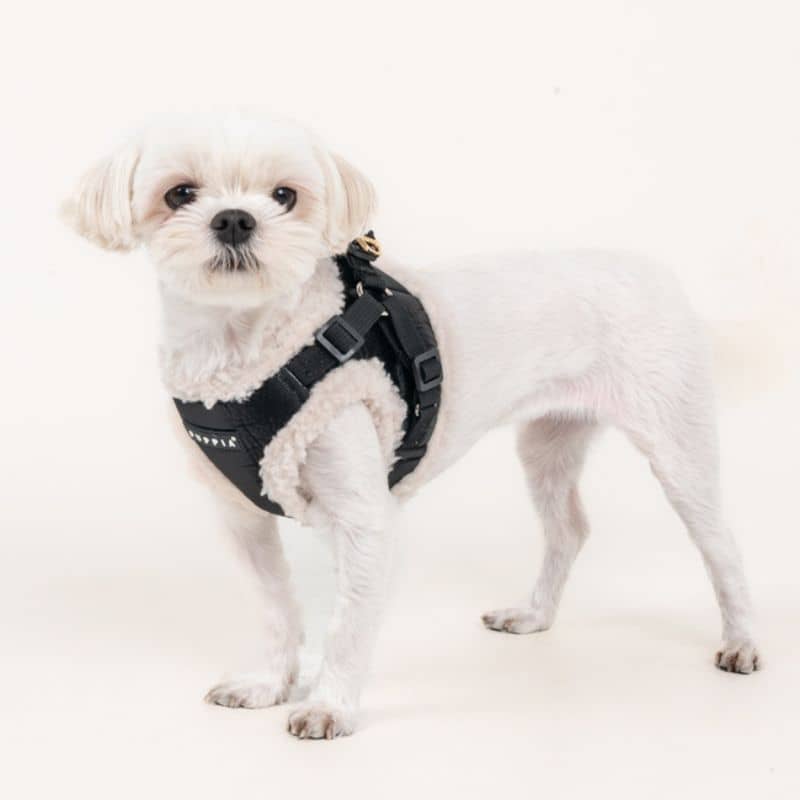 Harnais pour chien imperméable et chaud pour l'hiver, doublure peau de mouton de Puppia