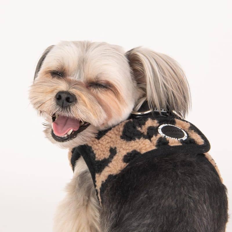 Harnais pour chien d'hiver de Puppia facile à enfiler