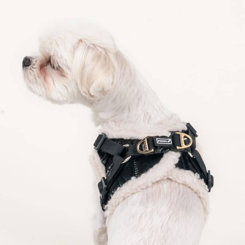 Chien avec un harnais confortable facile à enfiler de Puppia