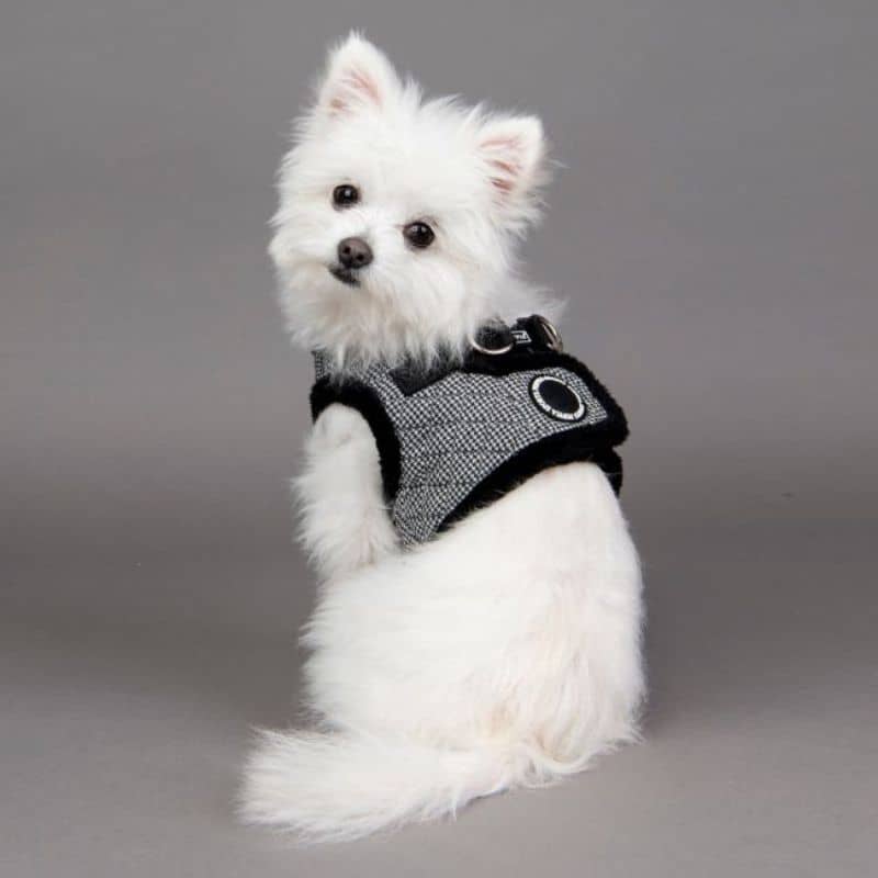 Détail du harnais veste pour chien de Puppia modèle Gaspar