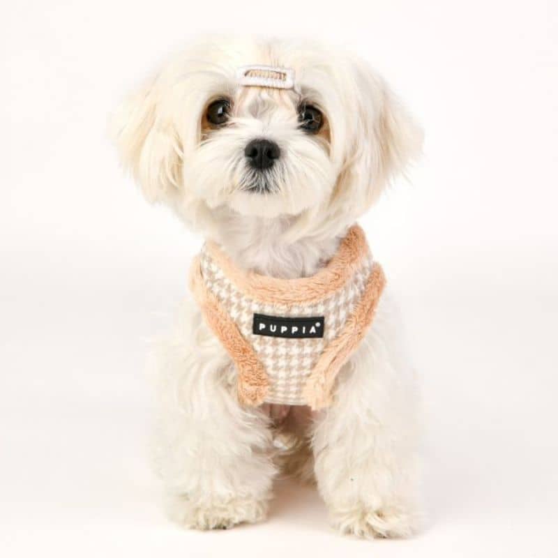 Chien avec harnais pour chien motif pied de poule beige avec fourrure pour l'hiver