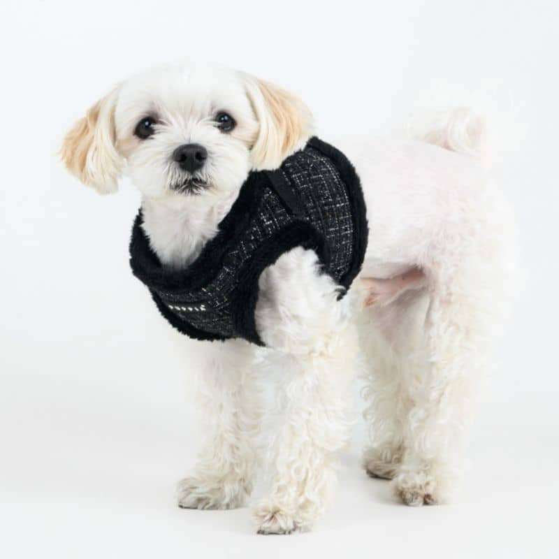 Chien blanc avec un harnais noir en tweed élégant de Puppia
