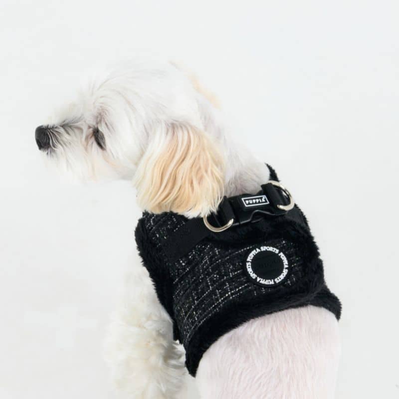 Chien avec harnais pour chien motif tweed noir avec fourrure pour l'hiver