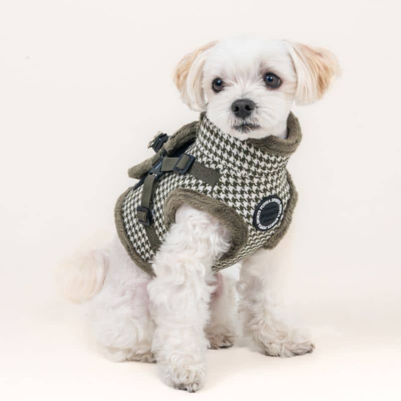 Chien avec un harnais manteau chaud pour l'hiver de Puppia en pied de poule kaki