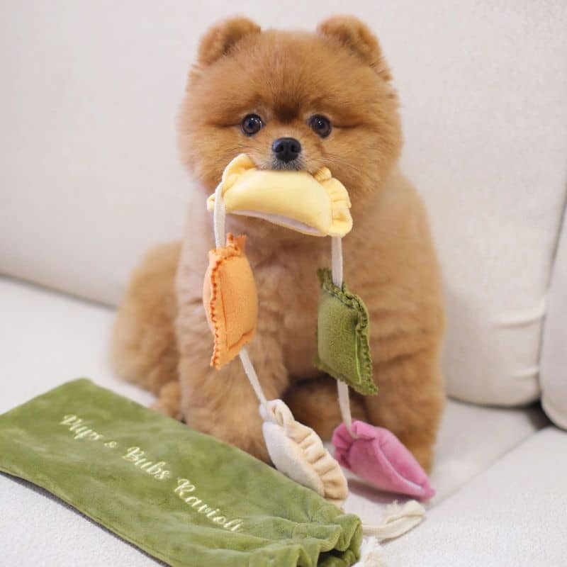 Ravioli jouet d'occupation interactif et de fouille pour chien en forme de dumplings dans lequel cacher des friandises pour occuper votre chien