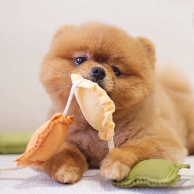 Ravioli jouet d'occupation interactif et de fouille pour chien en forme de dumplings dans lequel cacher des friandises pour occuper votre chien