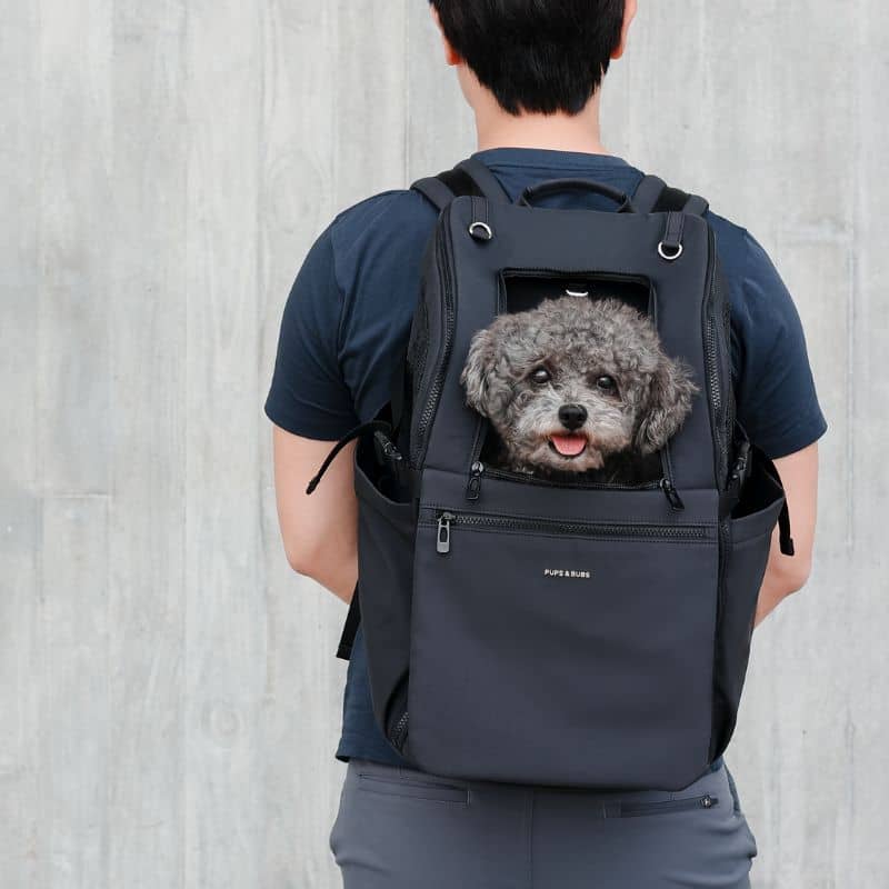 sac à dos pour transporter un chien ou chat jusqu'à 10 kg - Traveler pet carrier backpack noir Pups & Bubs : dos renforcé, aération, nombreux rangements pour confort et praticité. Ce sac à dos pour chien est idéal pour le vélo, la rando ou le scooter