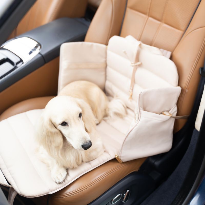 sac de transport pour chien convertible en siège auto et travel mat / tapis de voyage "Everywhere convertible tote bag pet carrier" en beige Pups & Bubs