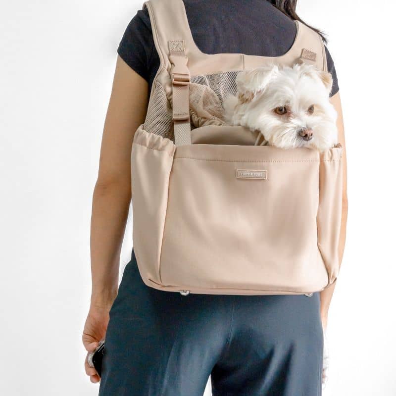 sac à dos pour transporter un chien jusqu'à 6,5kg pouvant également être porté à l'avant en beige desert - Let's adventure pet carrier backpack Pups & Bubs avec de nombreux rangements 