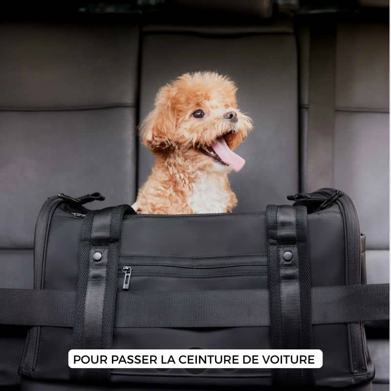 Train Ouigo Valise Et Sac A Dos Train TGV SNCF Jouet Brio