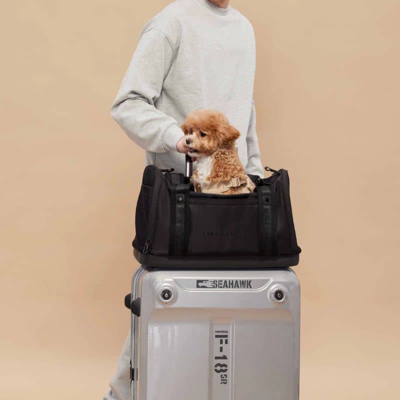 sac de transport pour chien et chat de la marque Pups and Bubs homologué pour les voyages en cabine d'avion : idéal pour voyager