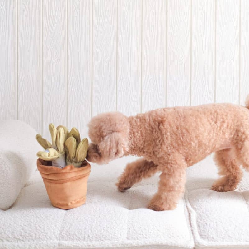 Veggie Garden nosework toy Pups & Bubs - jouet d'occupation interactif et de fouille pour chien en forme de plante verte dans lequel cacher des friandises pour occuper votre chien