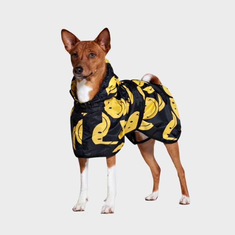 Imperméable pour chien motif smiley de Rainkiss noir et jaune