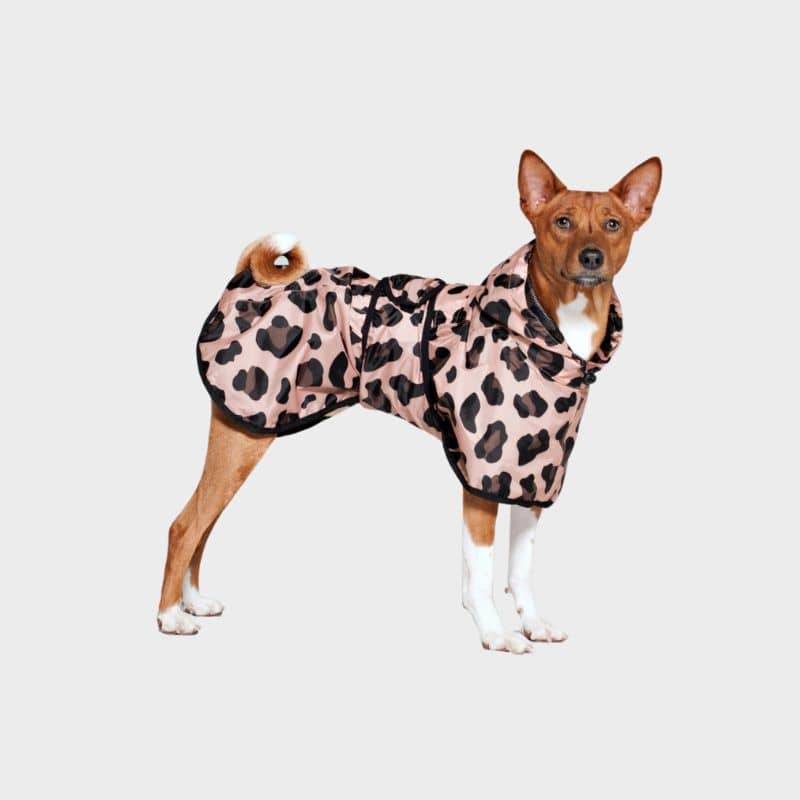 Chien avec poncho pour la pluie motif panthère rose de Rainkiss
