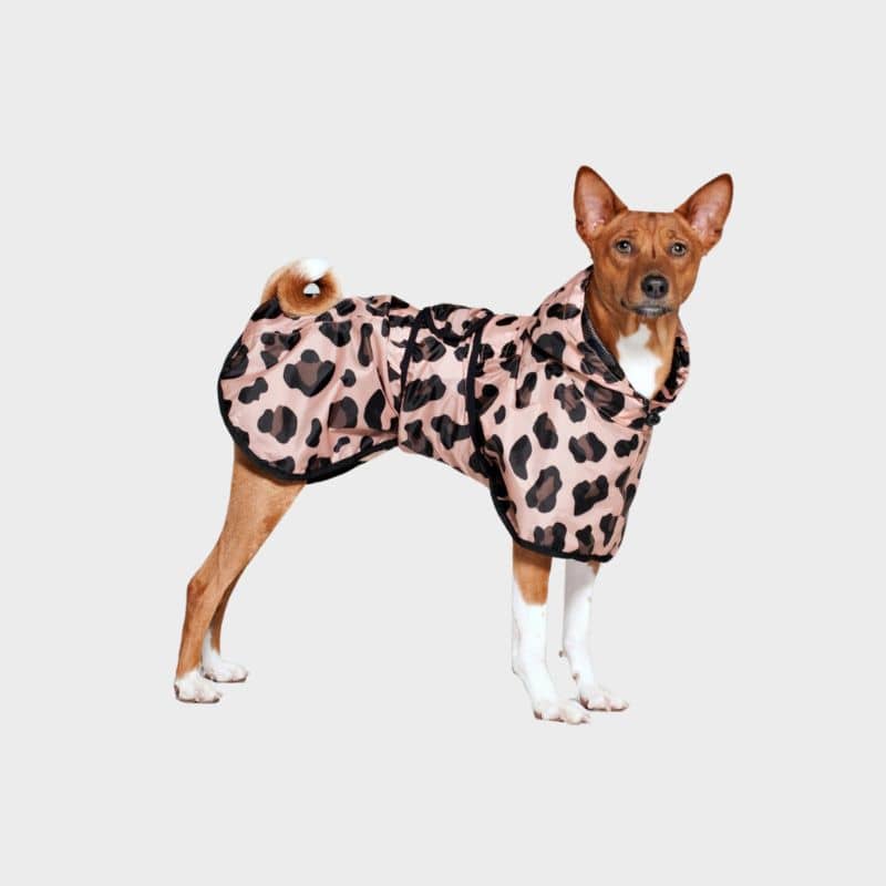 Imperméable pour chien tendance et stylé de Rainkiss