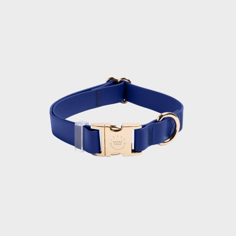 Harnais Chien Cuir Véritable Bestia Star - Cuir Italien 4mm - Plaque Poitrine Rembourrée