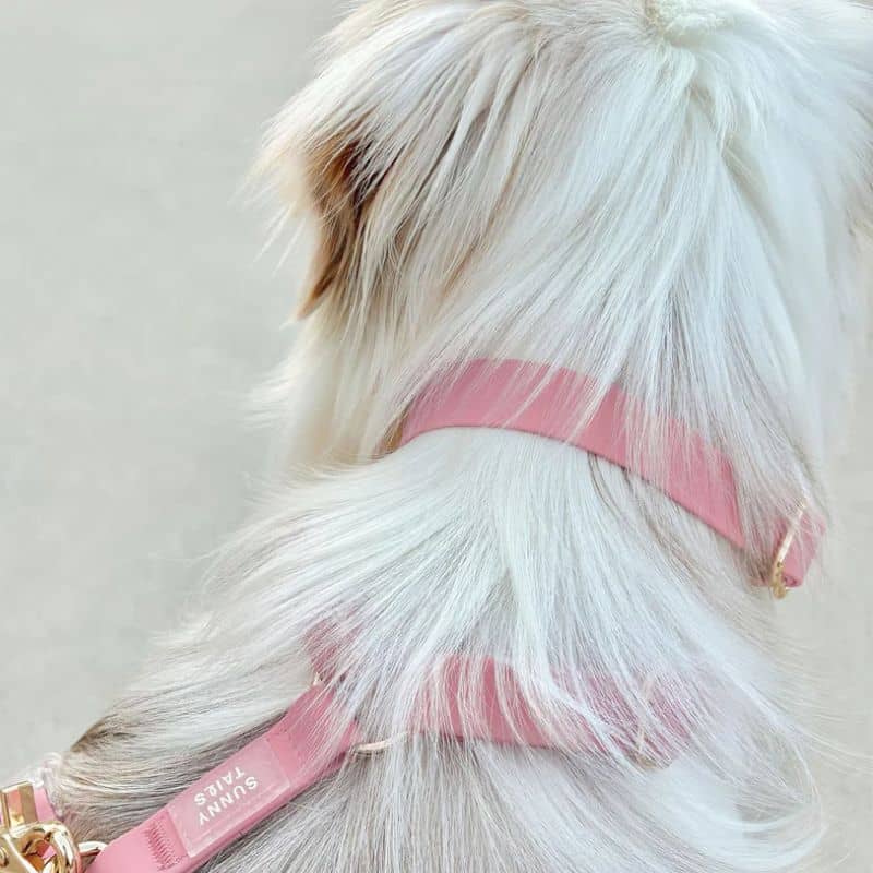 Panier chien rose : Couchage 100% Adapté - Chien & Chiot Panier chien rose : Couchage 100% Adapté - Chien & Chiot