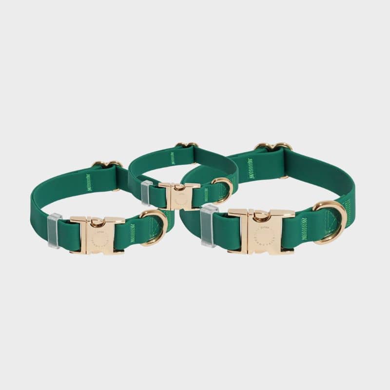 Différentes tailles du collier vert pour chien waterproof