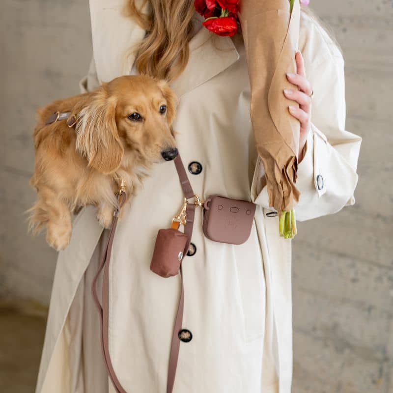 Ensemble de balade pour promener son chien en waterproof espresso