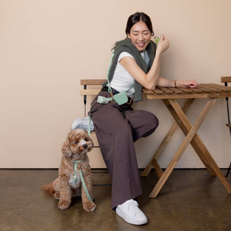 ensemble de balade pour promener son chien en matière lavable waterproof 