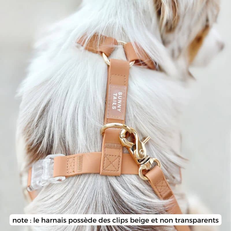 Harnais de la marque Shop Sunny Tails pour aller se promener avec son chien en couleur marron beige en matière lavable