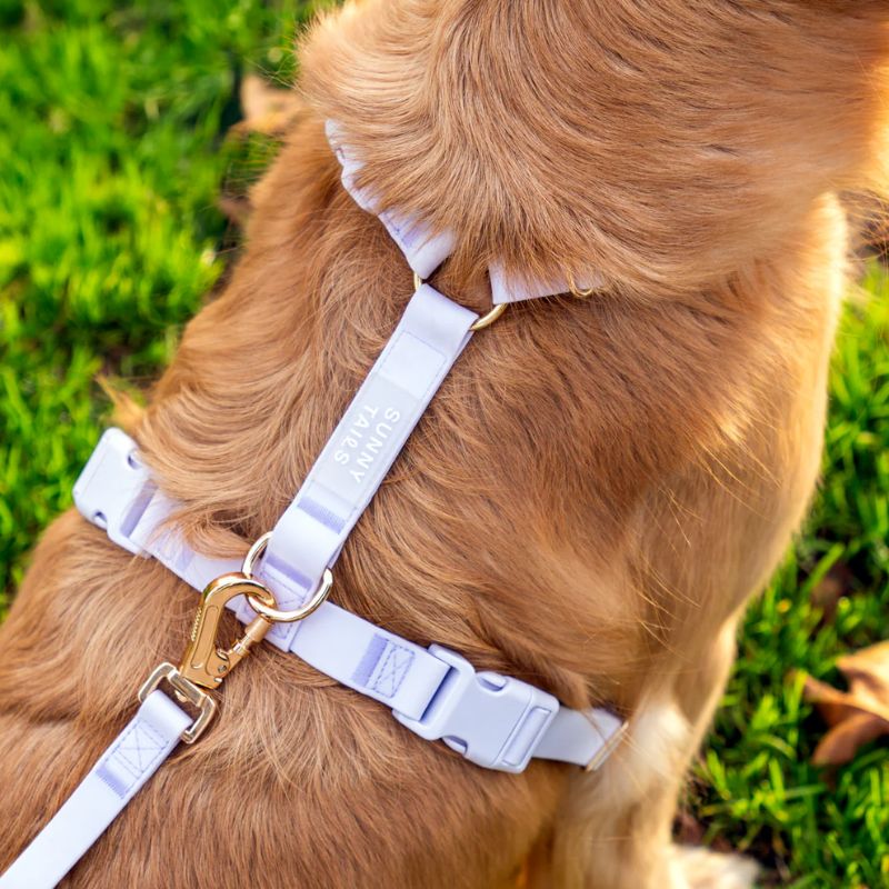Harnais de la marque Shop Sunny Tails pour aller se promener avec son chien en couleur violet mauve lavande en matière lavable