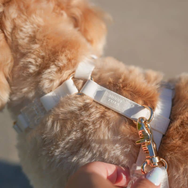 Harnais waterproof marque pour chien Sunny Tails blanc white cloud en H respecte l'anatomie