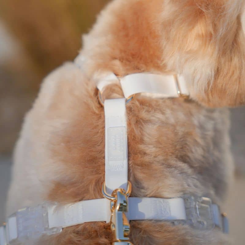 Harnais waterproof pour chien marque Sunny Tails blanc white cloud en H léger et mode