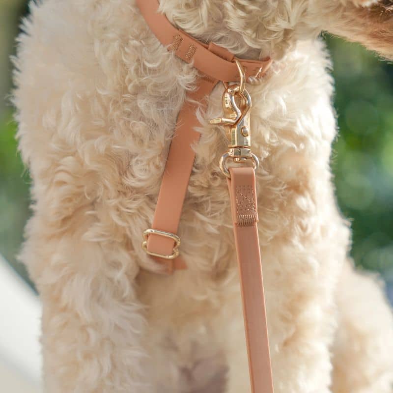 Chien avec un harnais imperméable pour la pluie, l'eau, la baignade ou la neige en beige nude de Sunny Tails