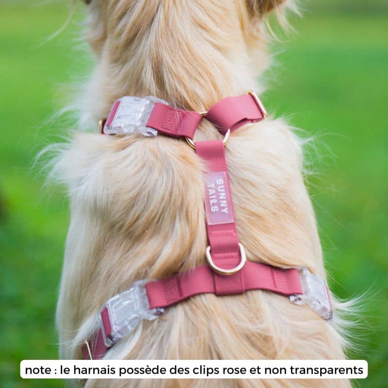 Harnais pour chien en H confortable et imperméable