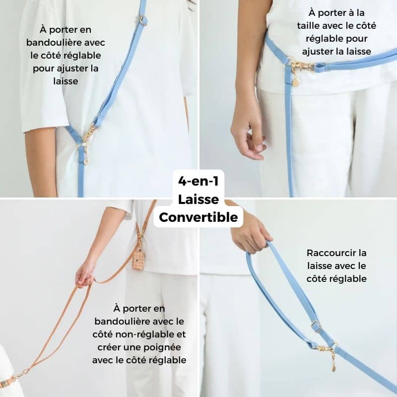 Laisse convertible 4 positions pour chien waterproof Shop Sunny Tails avec poignée ajustable