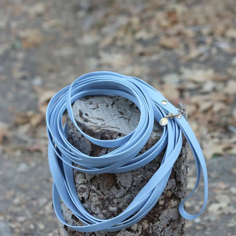 Longe pour chien waterproof imperméable de 9 mètres en bleu malibu
