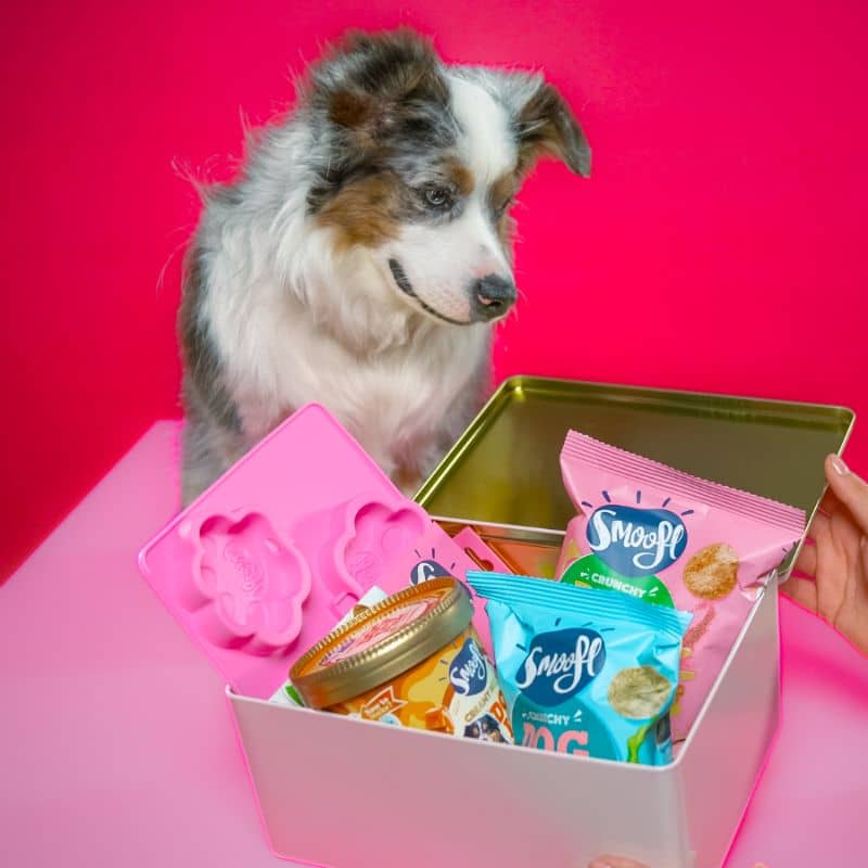 Gift box Smoofl contenant une préparation pour glaces au caramel pour chien ainsi qu'un moule, 2 paquets de chips pour chien