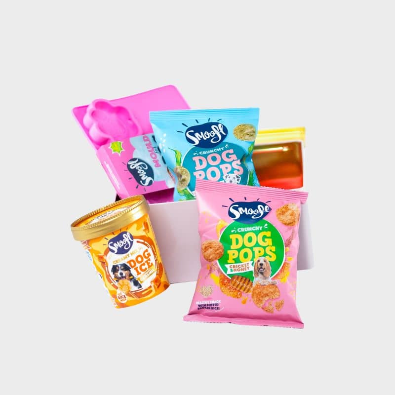 Gift box Smoofl contenant une préparation pour glaces au caramel pour chien ainsi qu'un moule, 2 paquets de chips pour chien