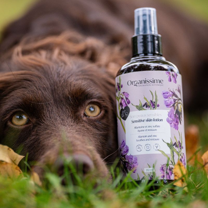soin pour peaux sensibles chien Organissime par biogance idéal pour le bien-être de votre animal pour ceux qui se grattent et qui démange