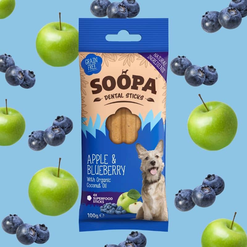 stick dentaire vegan pour chien pour l'hygiène bucco dentaire à la pomme et myrtille Soopa, pour occuper son chien avec de la petite mastication