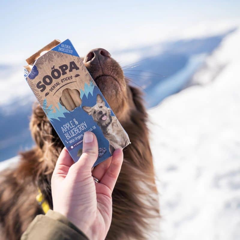 stick dentaire vegan pour chien pour l'hygiène bucco dentaire à la pomme et myrtille Soopa