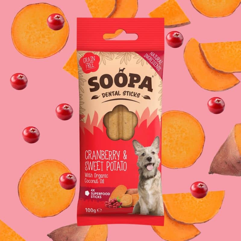 Stick dentaire soopa à la cranberry canneberge et patate douce pour l'hygiène bucco dentaire et réduire le tartre
