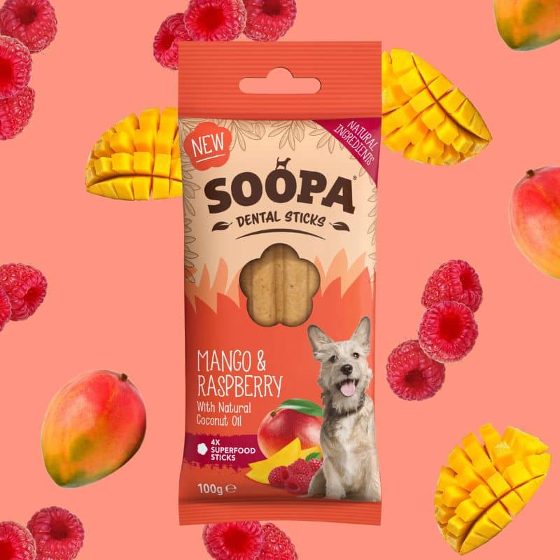 dental stick soopa pour chien gout framboise et mangue pour hygiène buccodentaire