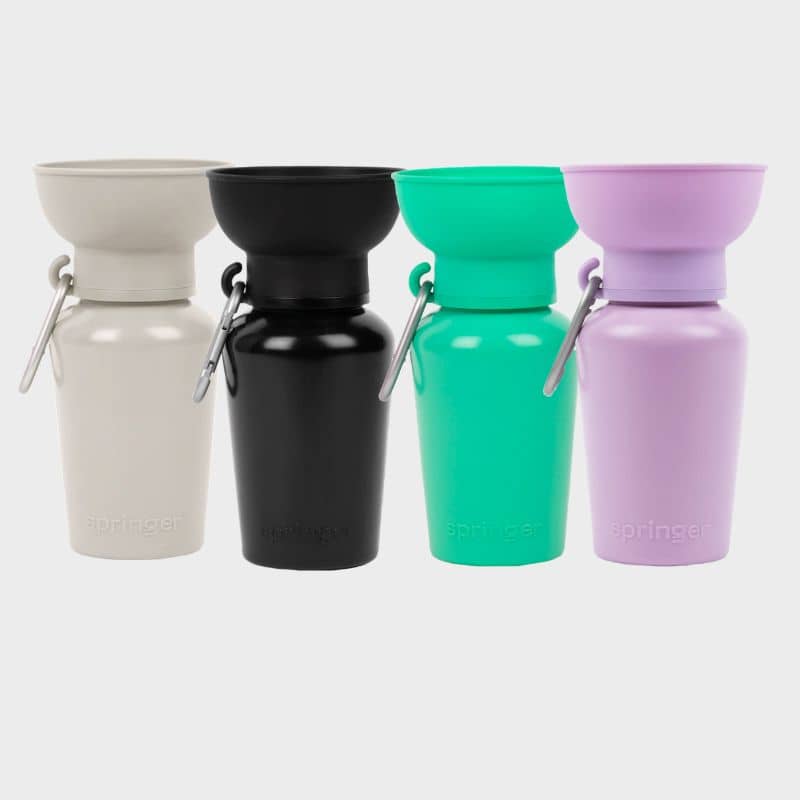 Spinger Flip Dog travel bottle - gourde flip Springer avec réservoir distributeur d'eau rétractable