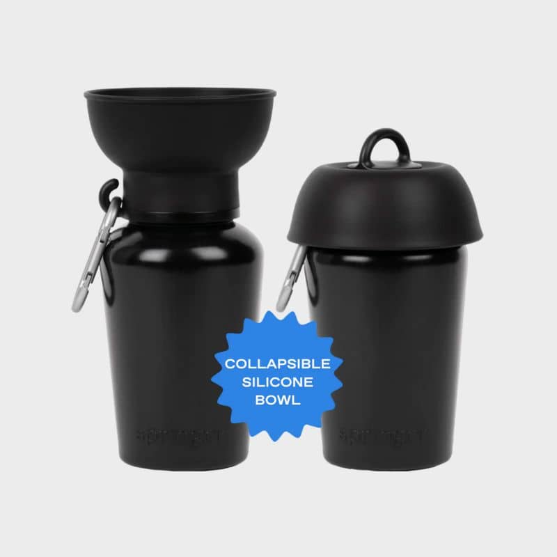 Spinger Flip Dog travel bottle - gourde flip Springer avec réservoir distributeur d'eau rétractable noir