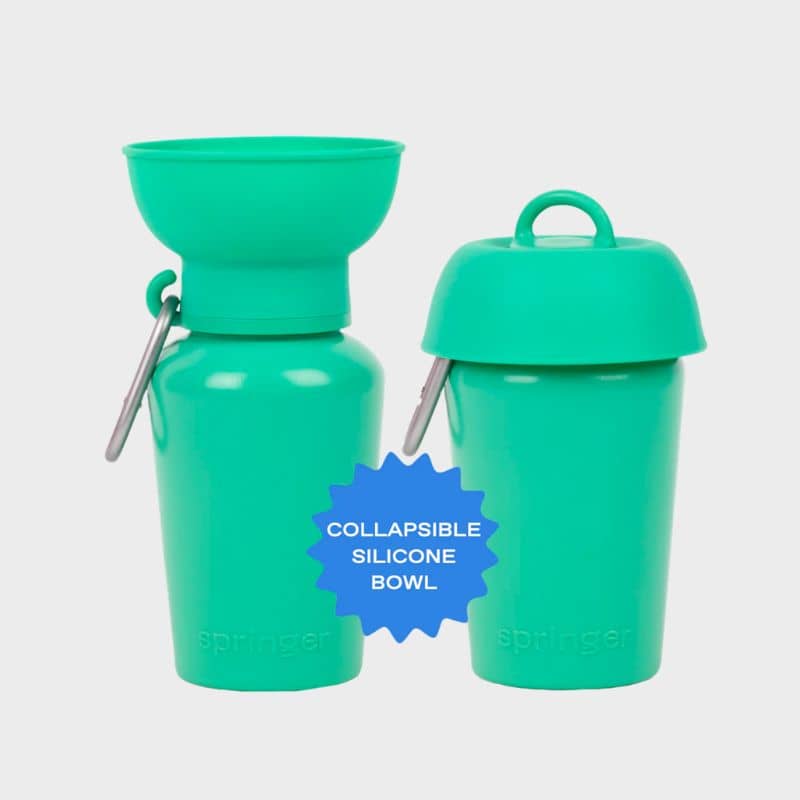 Spinger Flip Dog travel bottle - gourde flip Springer avec réservoir distributeur d'eau rétractable vert