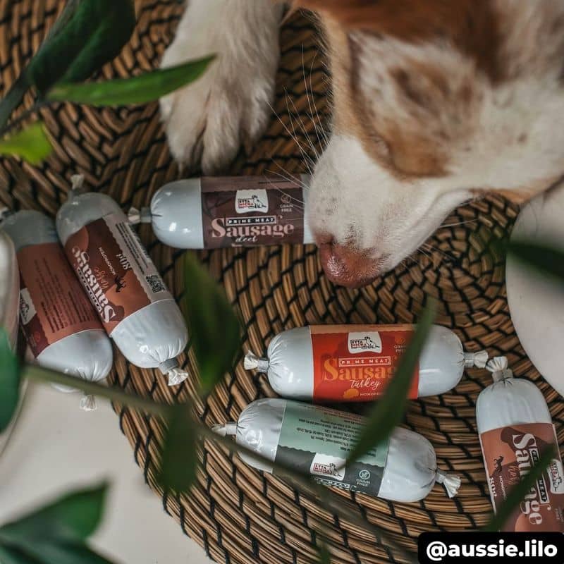Boudin de récompense pour chien en format de mini saucisse de pâtée ferme