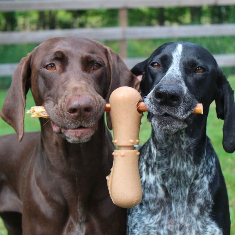 jouet à macher gout bacon permettant de maintenir les nerfs de boeuf - bully stick holder Tall Tails