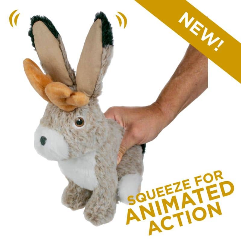 PELUCHE QUI BOUGE POUR CHIEN TALL TAILS - JACKALOPE – THE WOUF